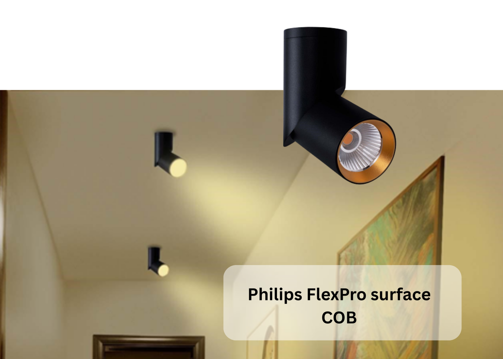 pro-1