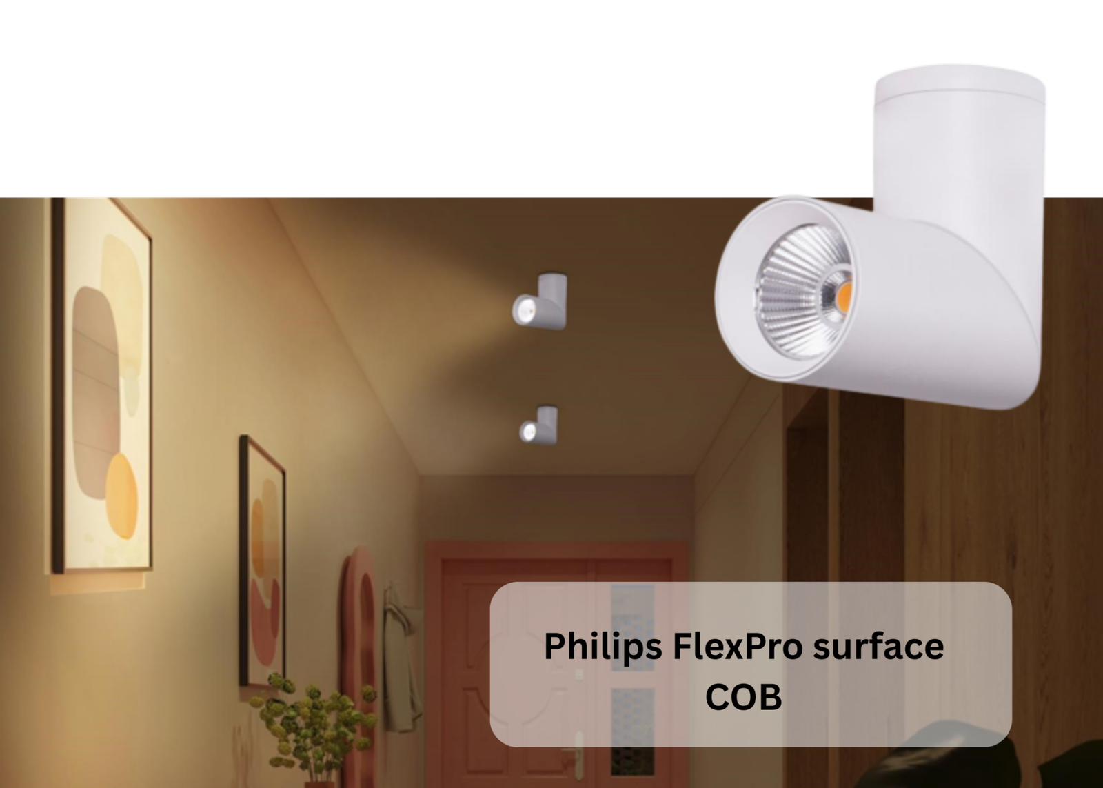 pro-2